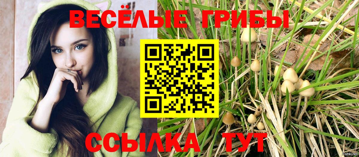 Псилоцибиновые грибы GOLDEN TEACHER  Вход с VPN  Урус-Мартан 
